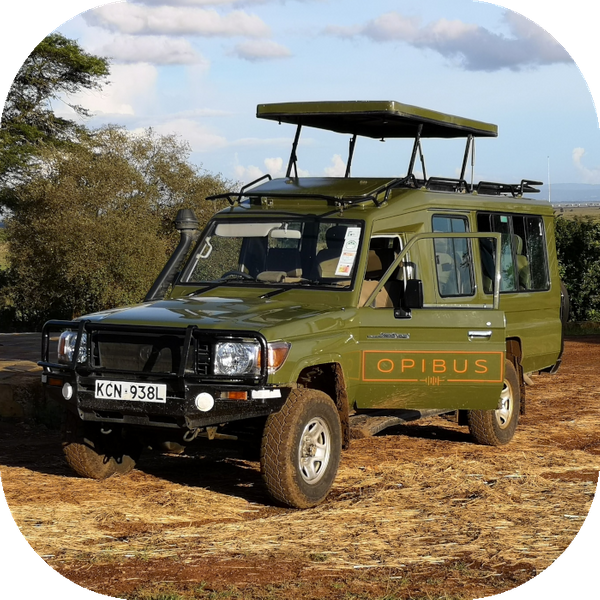 Electric conversion in Kenya